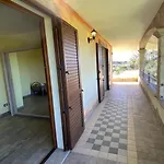 Welcomely - Pala Venalza