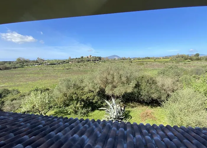 Welcomely - Pala Venalza * Olmedo