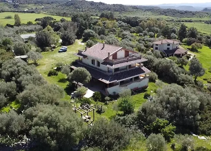 Welcomely - Pala Venalza *